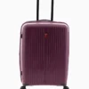 gladiator maleta mediana calypso 501103
